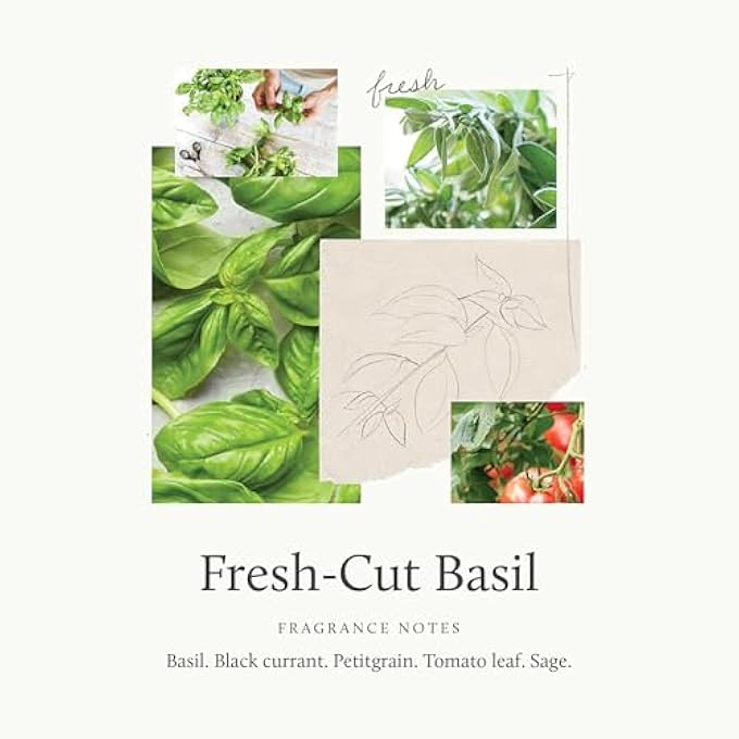 Thymes HAND WASH - 9 FL OZ - FRESH-CUT BASIL - Image 3